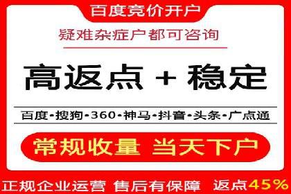 SEO技术突破：某网站流量暴增的背后故事